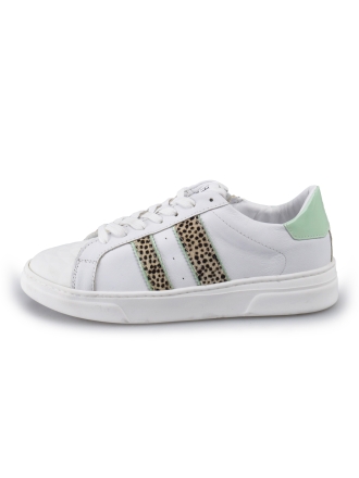 HIP Sneakers