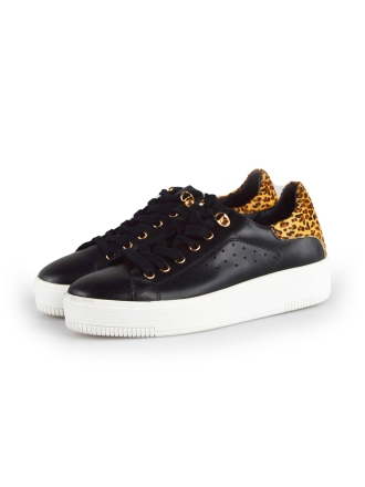 Cellini Sneakers Zwart 177790