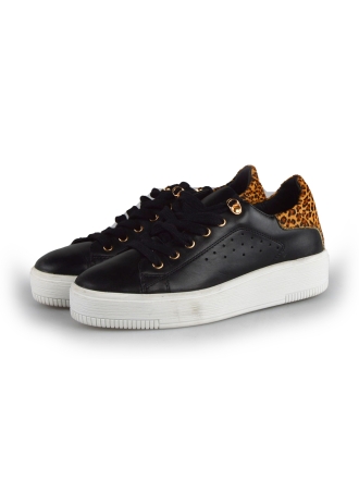 Cellini Sneakers Zwart 177806