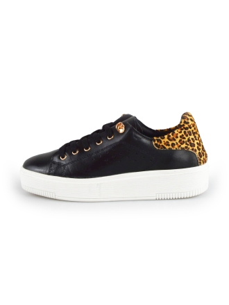 Cellini Sneakers Zwart 177824