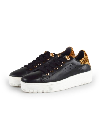 Cellini Sneakers Zwart 177825