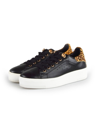 Cellini Sneakers Zwart 177826