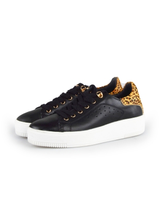 Cellini Sneakers Zwart 178019