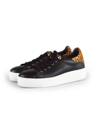 Cellini Sneakers Zwart 178021