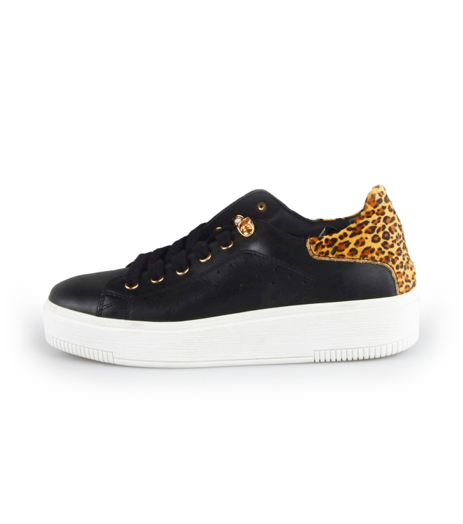 Cellini Sneakers