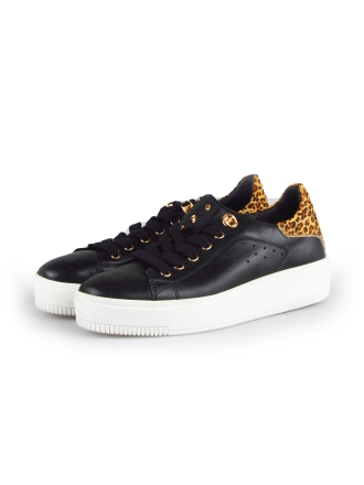 Cellini Sneakers Zwart 178022