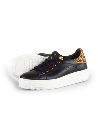 Cellini Sneakers
