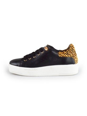 Cellini Sneakers Zwart 178025