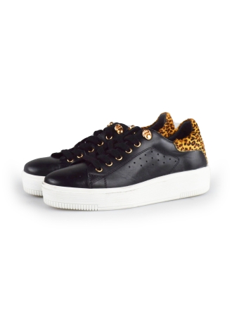 Cellini Sneakers Zwart 178025