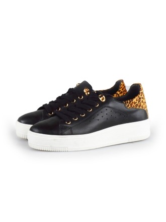 Cellini Sneakers Zwart 178027