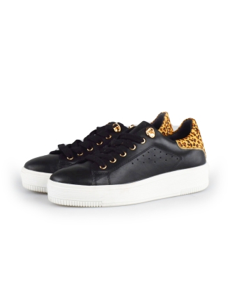 Cellini Sneakers Zwart 178029