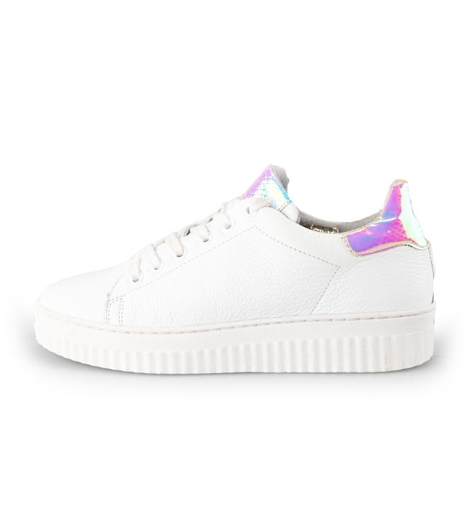 Nelson Sneakers