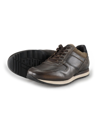 Greve Sneakers