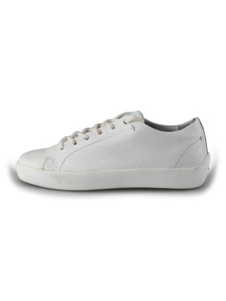 Greve Sneakers