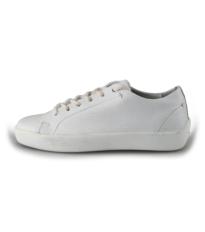 Greve Sneakers