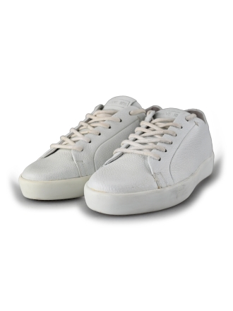 Greve Sneakers