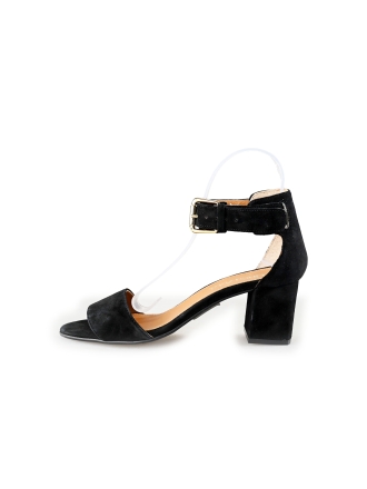 Linea Zeta Pumps Zwart 198013