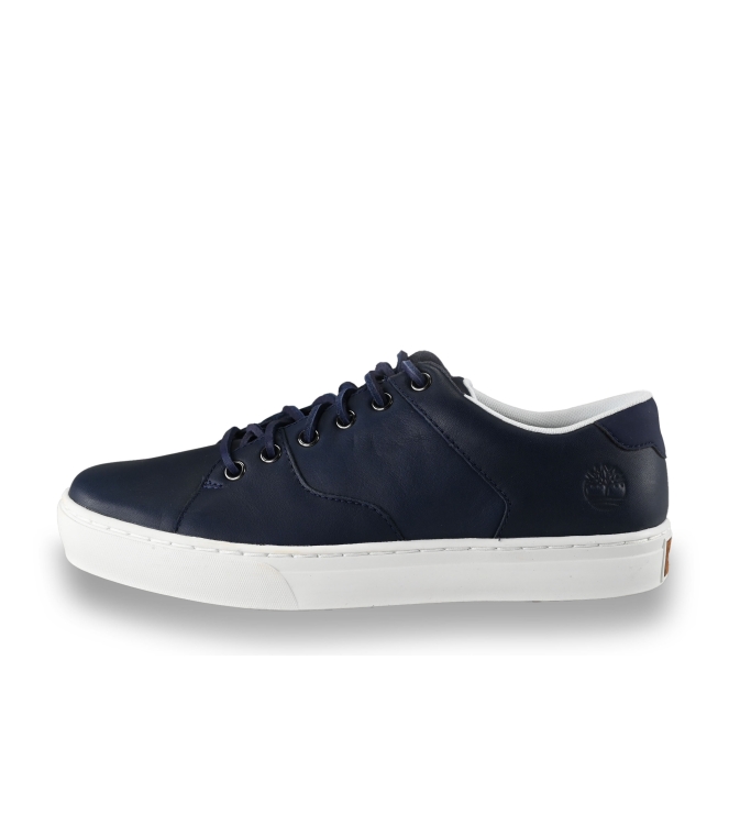 Timberland Sneakers
