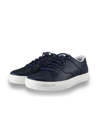 Timberland Sneakers Blauw 199335