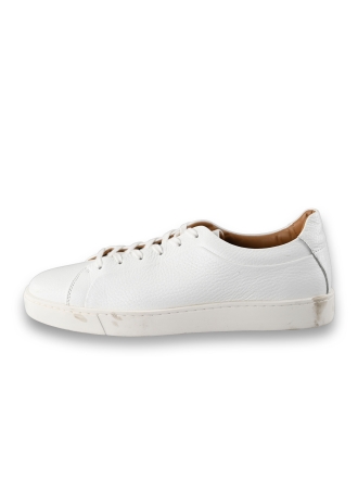 Steve Madden Sneakers