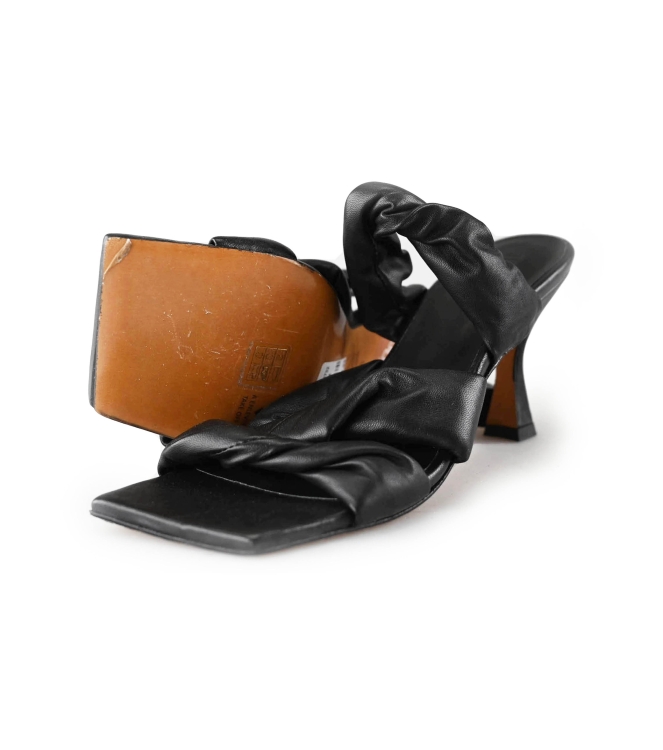 Toral Pumps