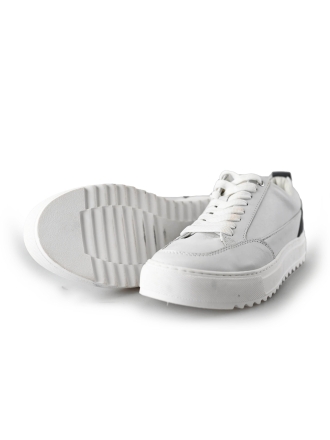 Invinci Sneakers