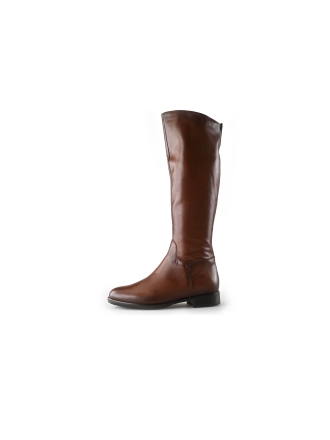 Linea Zeta Laarzen Bruin 213292