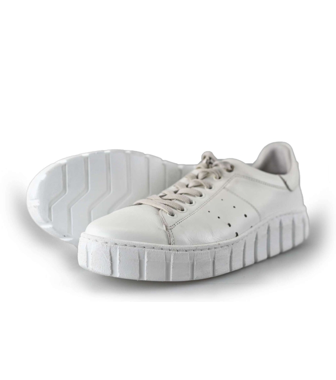 Tango Sneakers