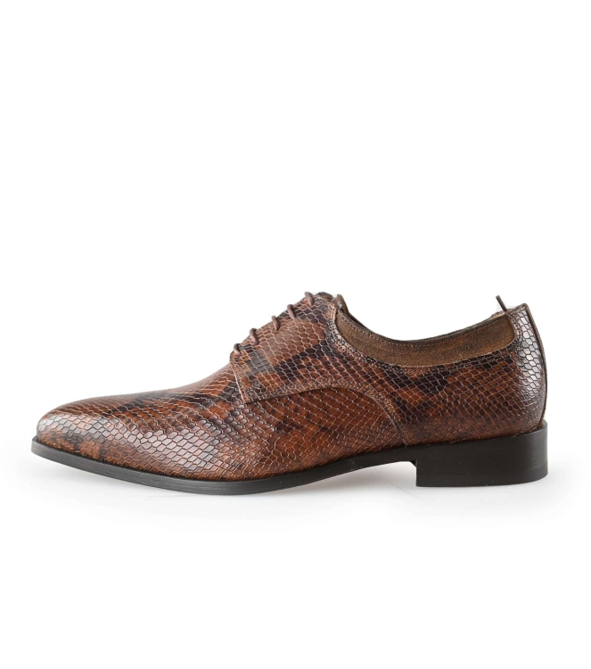 Veterschoenen