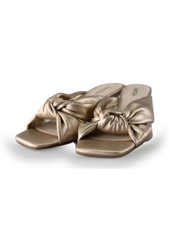 Omoda Pumps Goud 216472