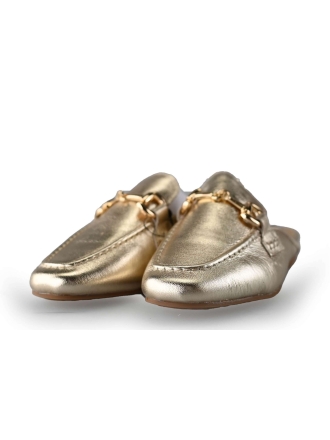  Instappers Goud 216499