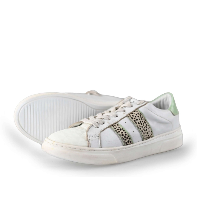 HIP Sneakers
