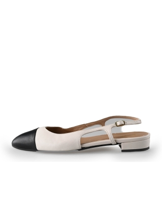 Notre-V Ballerina's Wit 217201