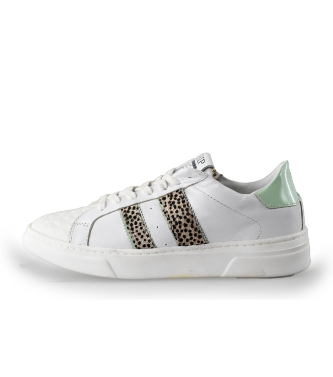 HIP Sneakers
