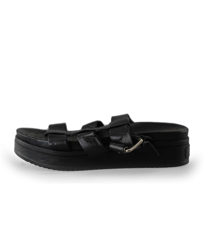 Shabbies Slippers