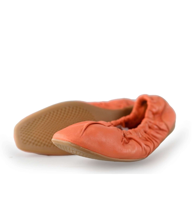 Bronx Ballerina's