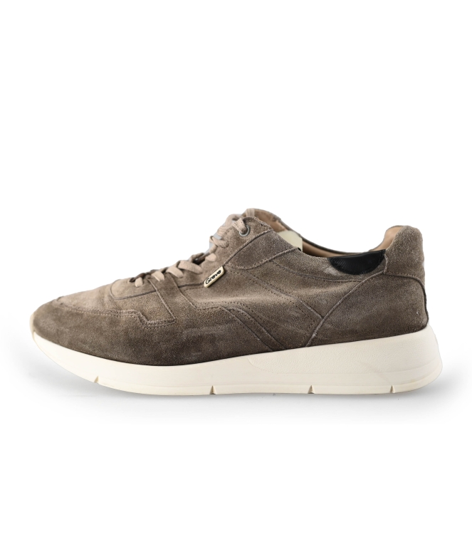 Greve Sneakers