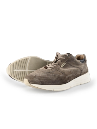 Greve Sneakers