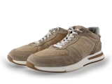 Gaastra Sneakers