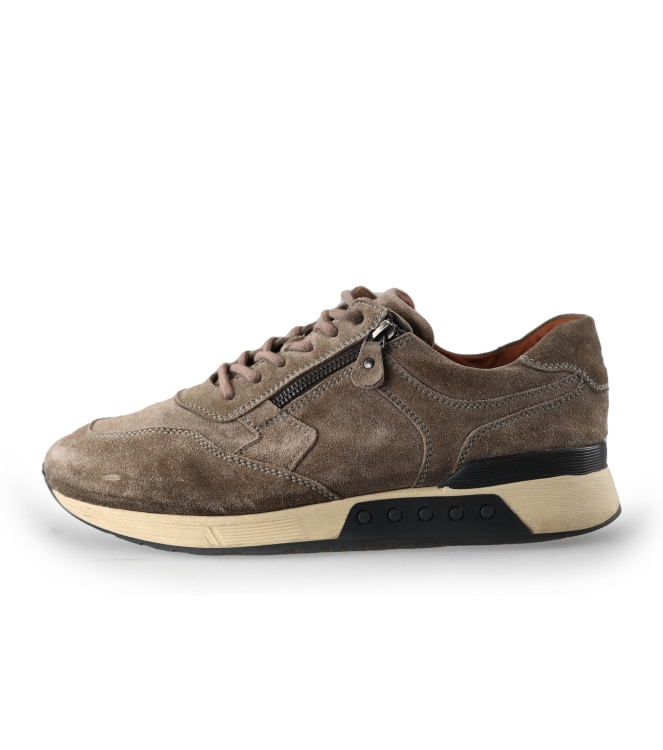 Greve Sneakers