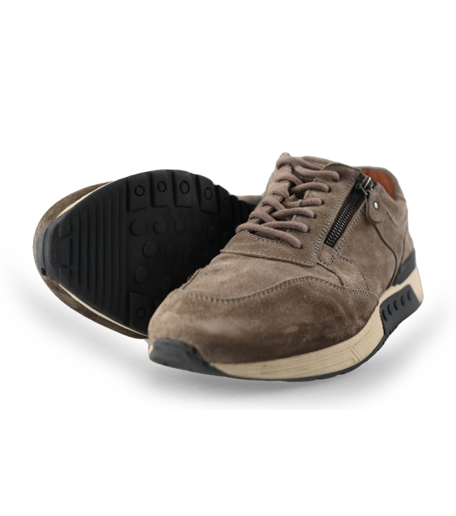 Greve Sneakers