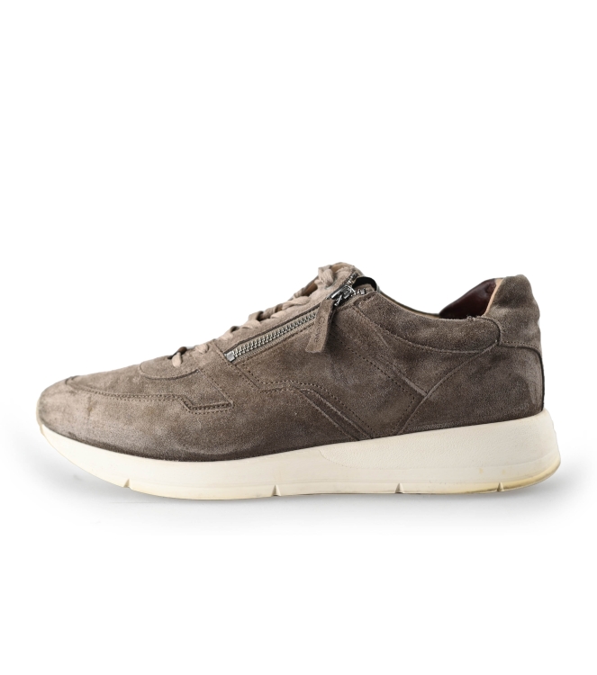 Greve Sneakers