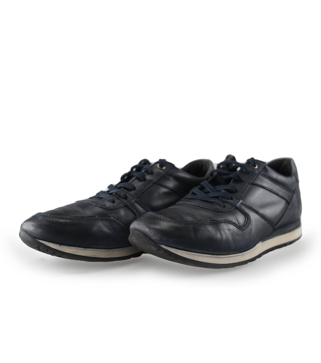 Greve Sneakers