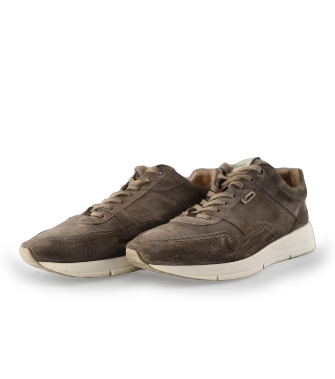 Greve Sneakers