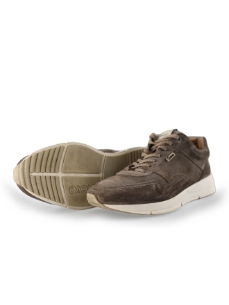 Greve Sneakers