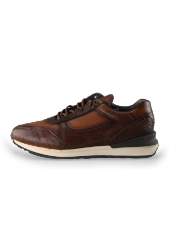 Greve Sneakers Bruin 221313