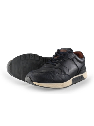 Greve Sneakers