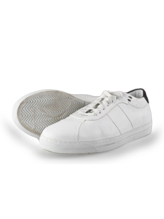 Greve Sneakers