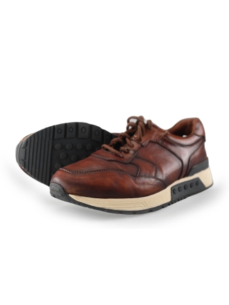 Greve Sneakers