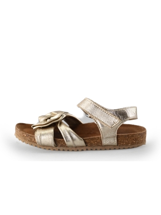 AP Sandalen Goud 221756